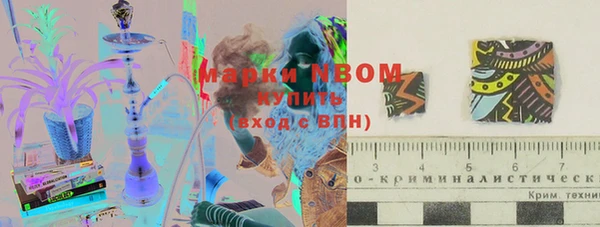 первитин Няндома