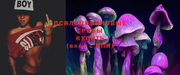 спиды Абинск